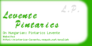 levente pintarics business card